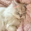 oneilda_m