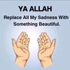 user621800279219