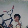 sbdaulay