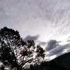 anginputingbeliung2
