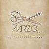 mirzo.2017