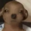 user.etyn