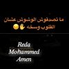reda.albahrawi4