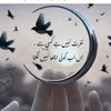 zeeshan84746