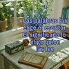 raymundotorres432