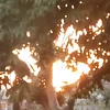erenisouza.40
