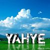 yaxye1231