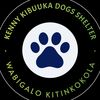 kennykibuukasheltedogs