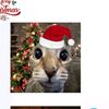 christo_1213