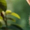 100zl__244