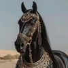 mohamedebada76