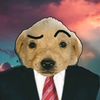 dominictadeomartn