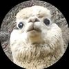 la.capibarainsana_