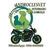 veterinarioandroclezape