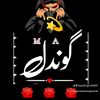 mukhtarahmedgonda786