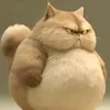m_maiig