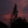 clarisseomal8