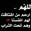 user8173294857810