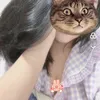 phanthingocmy11