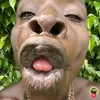 akdjdjj3