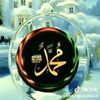 gulwahab293