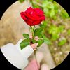 user9284314491124