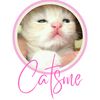 catsmeinfokucing