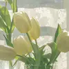 tr_hzyn