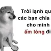 hoongsn