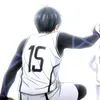 official_pingulux_fan