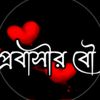 user013449468