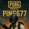 Пинг677