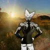 lokifoxz