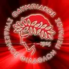user2577655912602