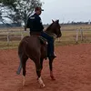 ronaldoshmith