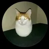 hi_sigma