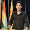 alkikani013