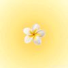 jojo1234567tiktok.comram