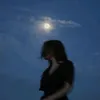 ndgf_13