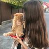 aj_oo257