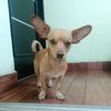 delicia4977
