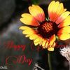 missi0943