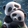 user020227682