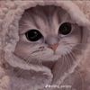 faizah_27314