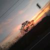 alexito.isidro2