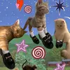 zuzy_1812