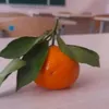 loriznm