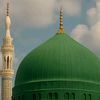 hamidali4337