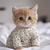 mariasinagaa_