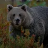 sergei.minck